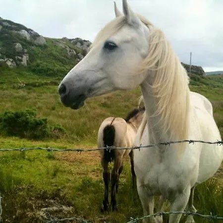 House Boutique - Connemara * Kylemore